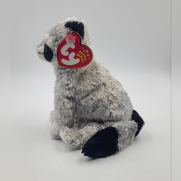TY Beanie Baby - BANDITO the Raccoon (6.5 inch) - Picture 4 of 4